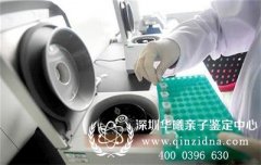 谁知道深圳亲子鉴定中心哪家好