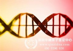 如何申请亲子鉴定，亲子鉴定需要条件有哪些