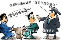 做DNA鉴定需要多少钱和什么样本