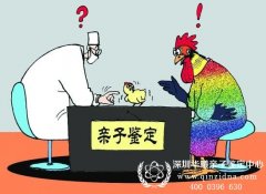 司法鉴定可以个人申请做吗，如何申请