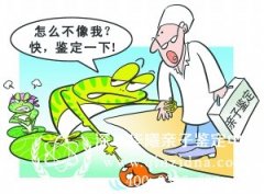 当事人对司法鉴定的结果有异议可以再次申请鉴定吗