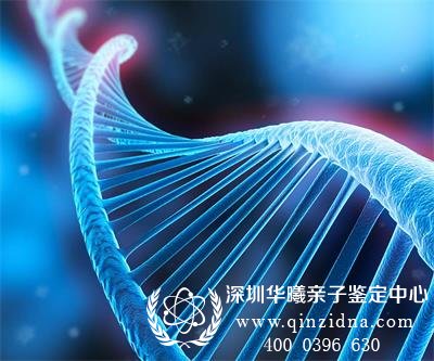 产生基因突变时,如何判断亲子关系?