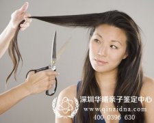 剪下来的头发可以作为DNA亲子鉴定样本吗