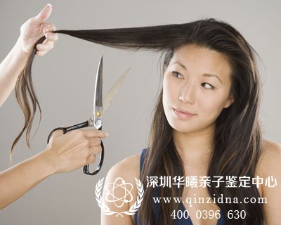 剪下来的头发可以作为DNA亲子鉴定样本吗
