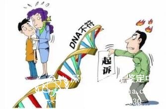 网上的亲子鉴定可信吗