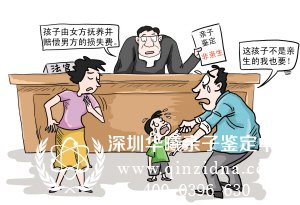 亲子鉴定能否作为证据使用