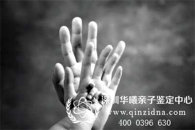 妻子手机中存7次开房记录,丈夫要求做亲子鉴定
