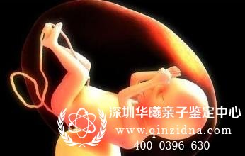 脐带血能做亲子鉴定吗