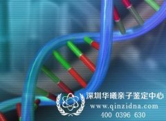 亲子鉴定的依据包括哪些,主要用于哪些方面