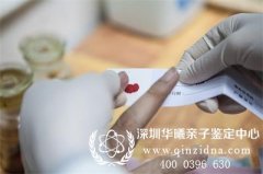 司法亲子鉴定采样部分可以造假吗