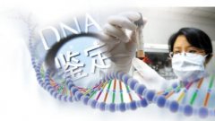 DNA鉴定与无创DNA有什么区别？