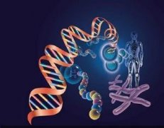 无创DNA的结果靠不靠谱啊？