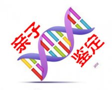 被拐男子23年后寻亲，通过亲子鉴定与母亲相认