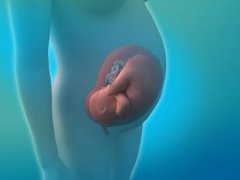 孕妇该如何为腹中的胎儿