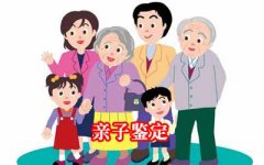 亲子鉴定：儿子是老公亲生的，而老公却不是公公亲生的！
