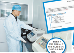 如何辨别DNA亲子鉴定报告的真伪