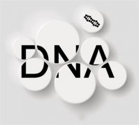 胎儿亲子鉴定是如何提取到胎儿DNA的？