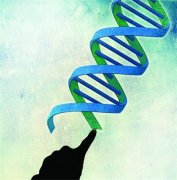 她遇人不淑多次流产，生下孩子后借亲子鉴定争抚养费