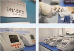亲子鉴定产生的法律后果有哪些