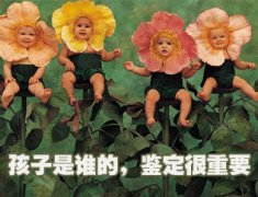 亲子鉴定发现女儿非亲生，他索赔万元精神损失费