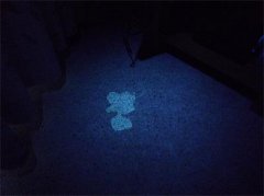富商情人未雨绸缪，偷取精液做DNA鉴定