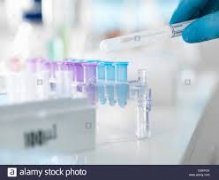 个人做亲子鉴定的流程