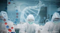 做一次亲子鉴定DNA大概需要多少费用