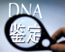 dna亲子鉴定多少钱