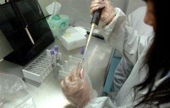 在深圳做亲子鉴定多少钱？