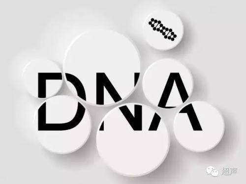 DNA亲子鉴定的原理全过程
