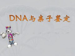 北京一般去哪里做亲子鉴定