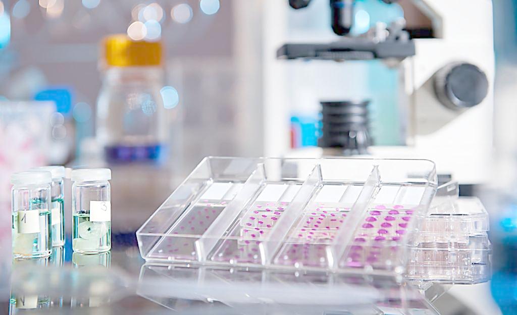 亲子鉴定试验室