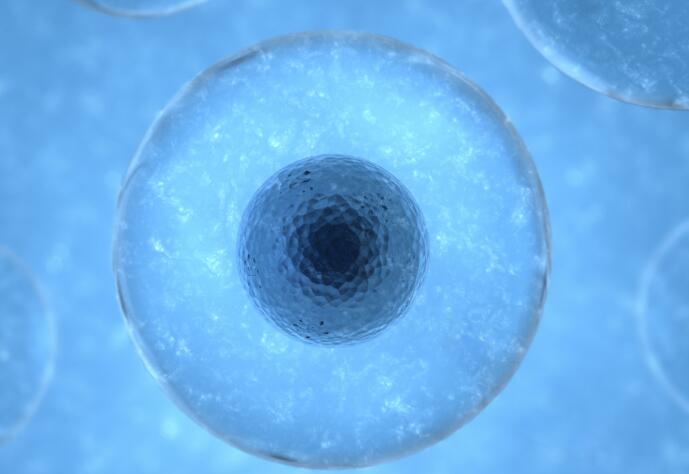 司法亲子鉴定多少钱