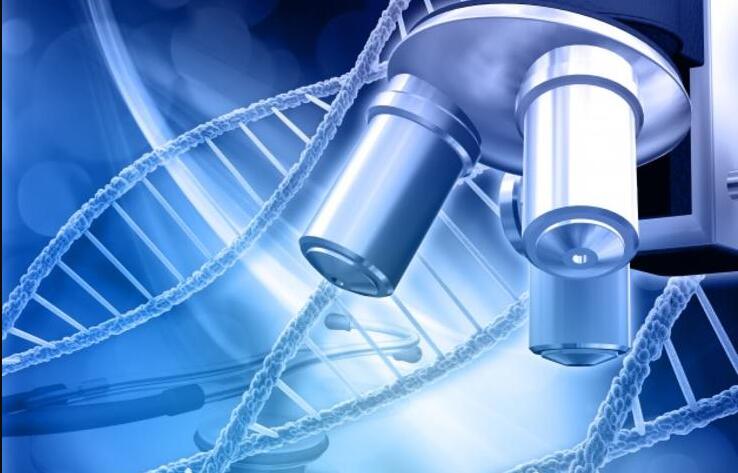 司法亲子鉴定去哪做