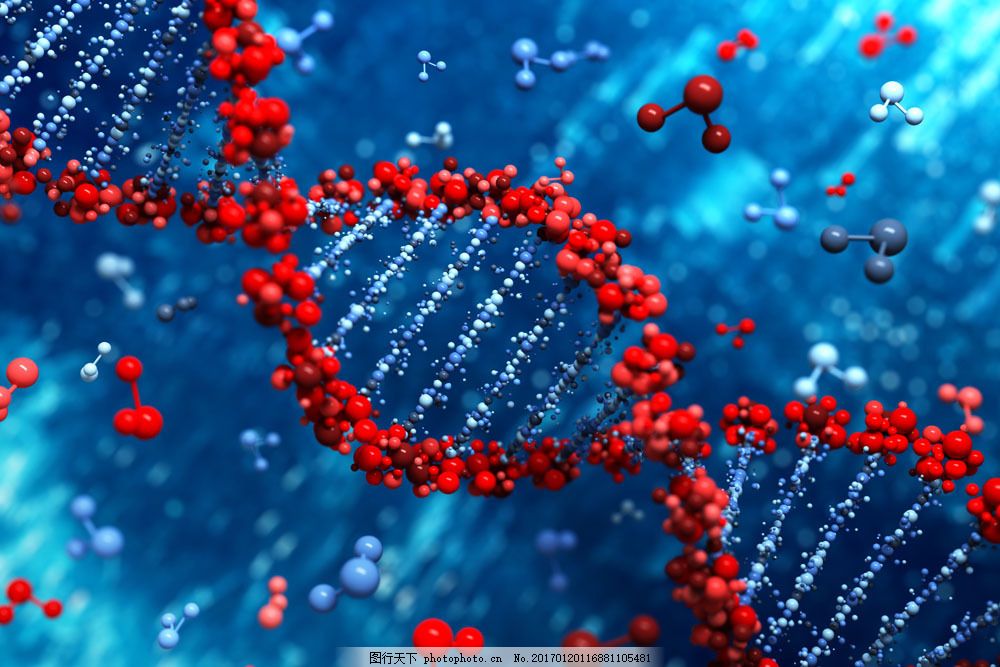 基因编辑婴儿诞生 基因编辑婴儿诞生