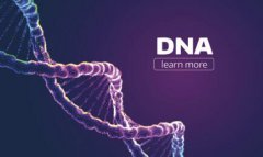 上海什么机构能DNA亲子鉴定