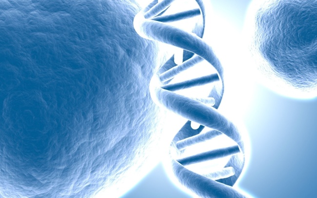 亲子鉴定中心 亲子鉴定中心