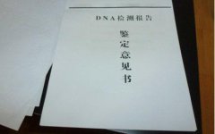 dna鉴定结果怎么看
