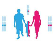 亲权鉴定 亲权鉴定