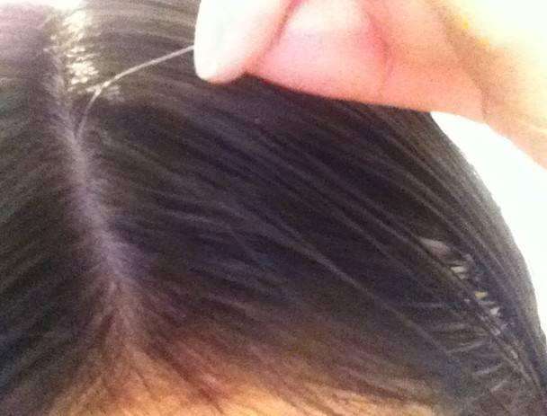 毛发采样 毛发采样