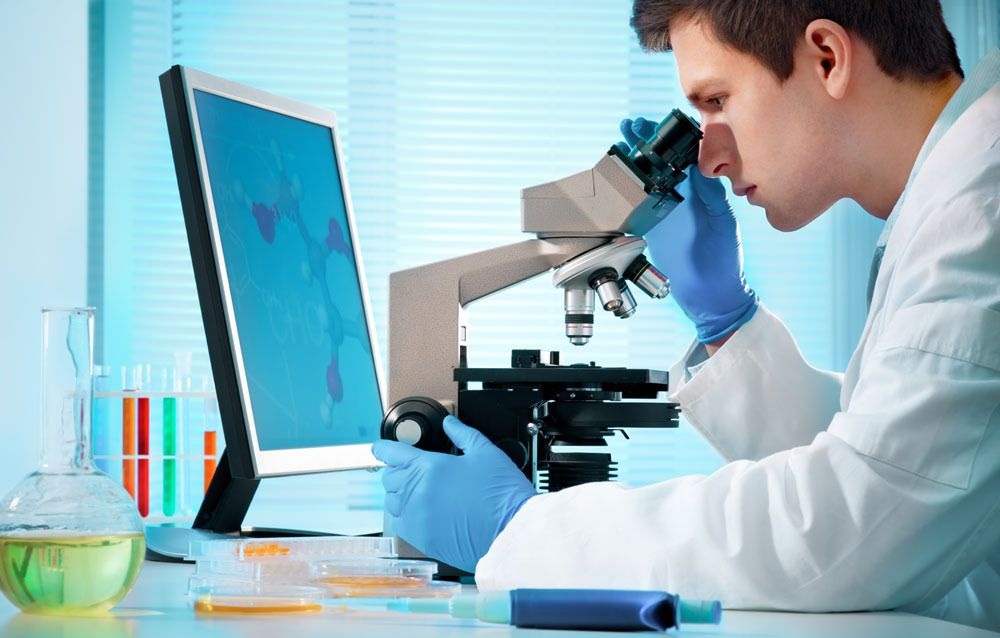 亲子鉴定样本 亲子鉴定样本