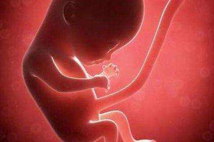 产前亲子鉴定价格 产前亲子鉴定价格