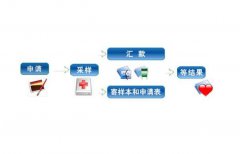 做亲子鉴定的流程