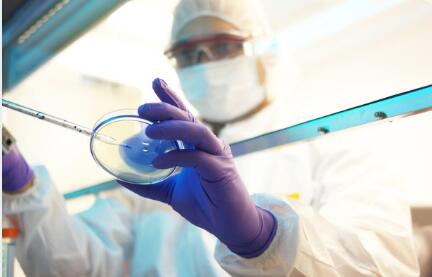 不明精体做鉴定 不明精体做鉴定