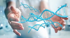 DNA鉴定亲子是否有科学依