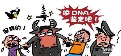 私人做亲子鉴定多少钱