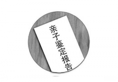 做亲子鉴定花多少钱？一般是收多少？
