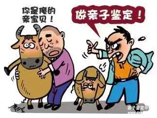 哪里做亲子鉴定