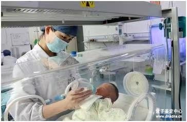 哪里有亲子鉴定