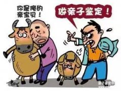 怀孕怎么做亲子鉴定